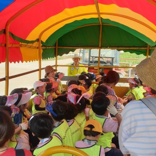 Kindergarten children riding the wagon train