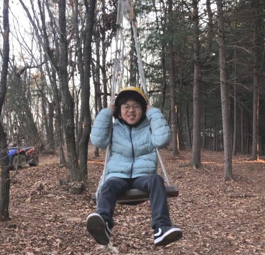 숲속 그네